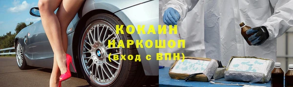 ГАЛЛЮЦИНОГЕННЫЕ ГРИБЫ Баксан