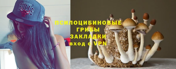 ГАЛЛЮЦИНОГЕННЫЕ ГРИБЫ Баксан